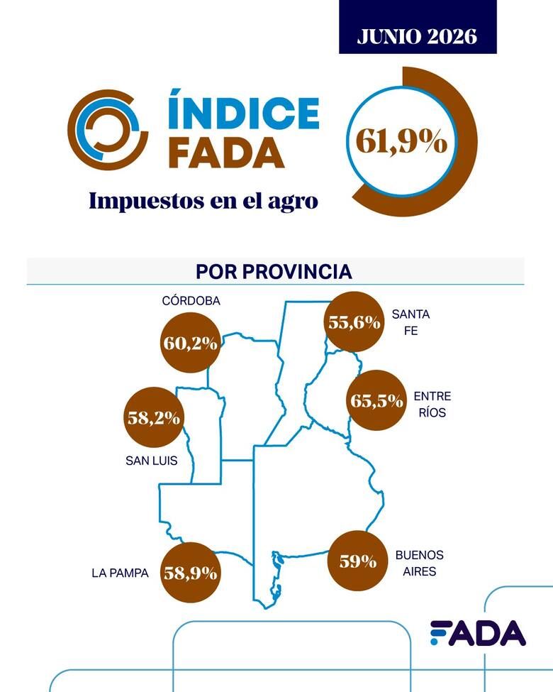 “Continúa elevado”: el Estado se lleva con impuestos el 61,9% de lo que genera una hectárea agrícola