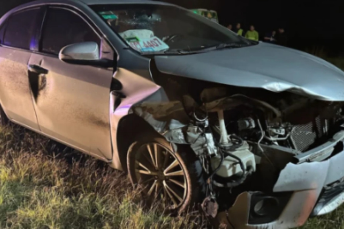  Un auto chocó un jabalí en la ruta 3 y su conductor salió ileso