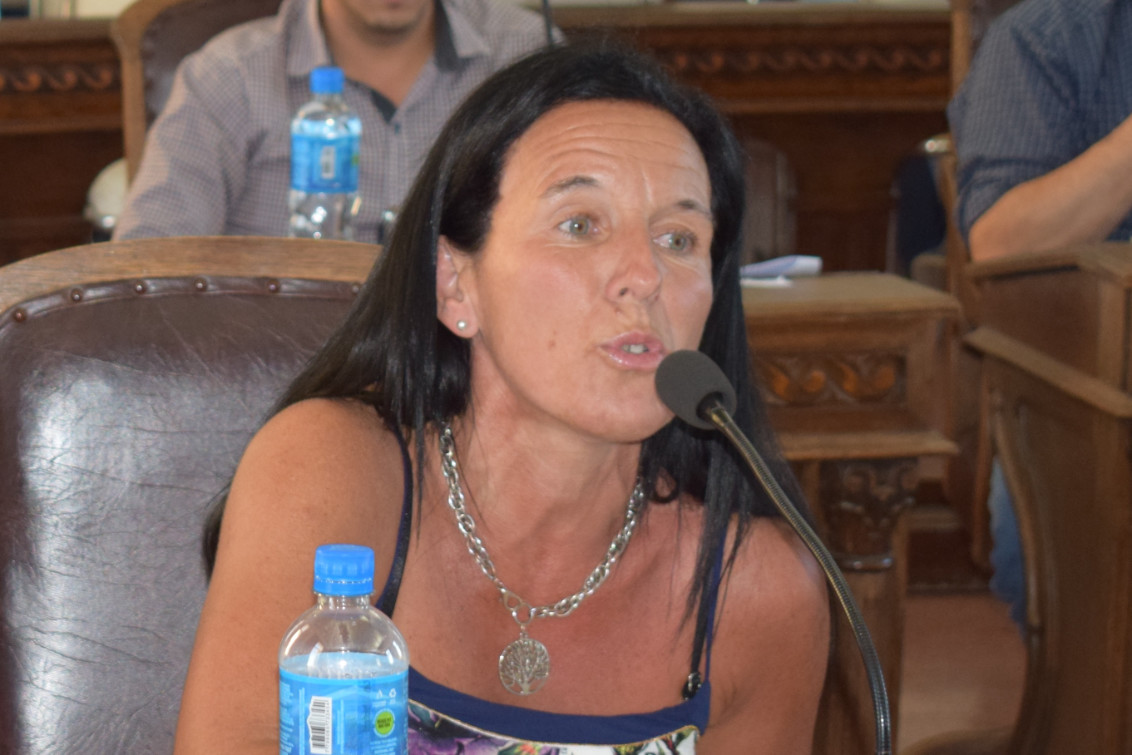 Silvana Carnevali: “Necesitamos un Concejo Deliberante equilibrado”