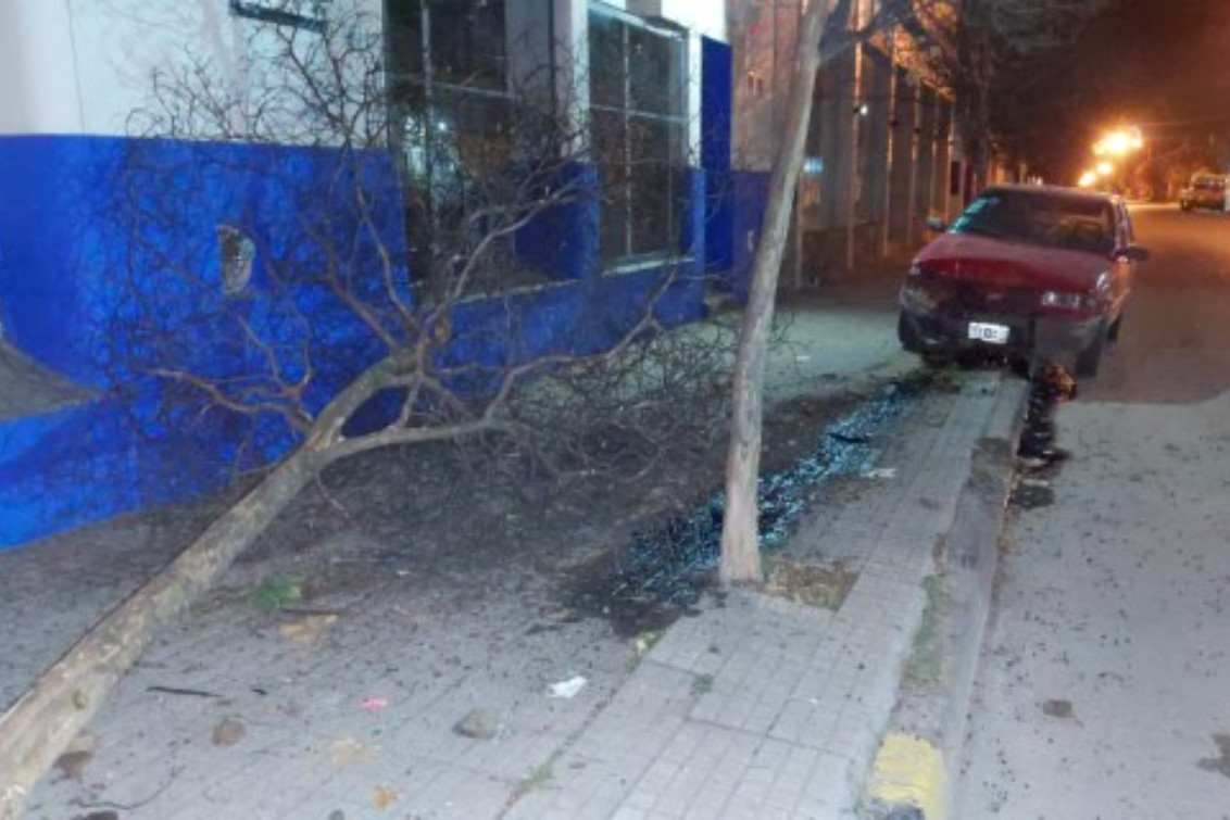  Un auto terminó subido a la vereda y arrancó un árbol