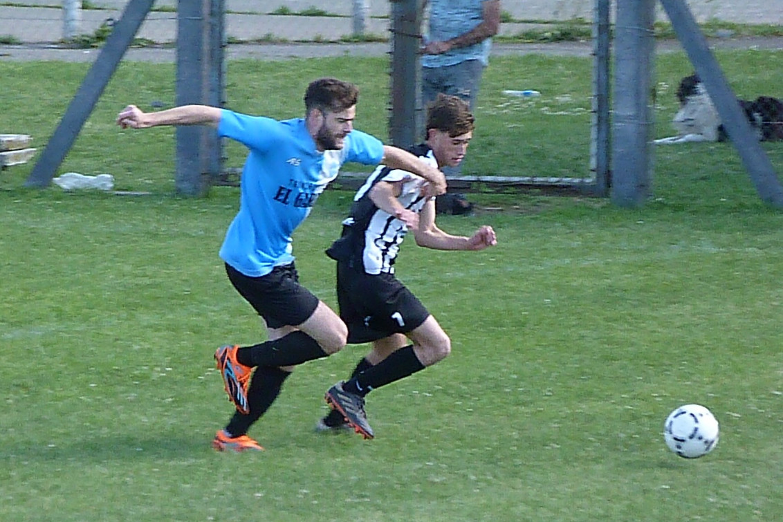 Son cuatro por categoría