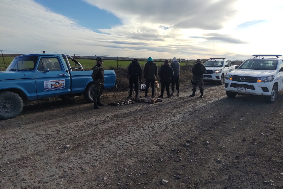 Cuatro hombres resultaron infraccionados por usar galgos para cazar