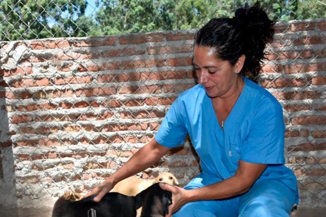  Zoonosis cerró un 2025 de fuerte trabajo y proyecta nuevas campañas para este año