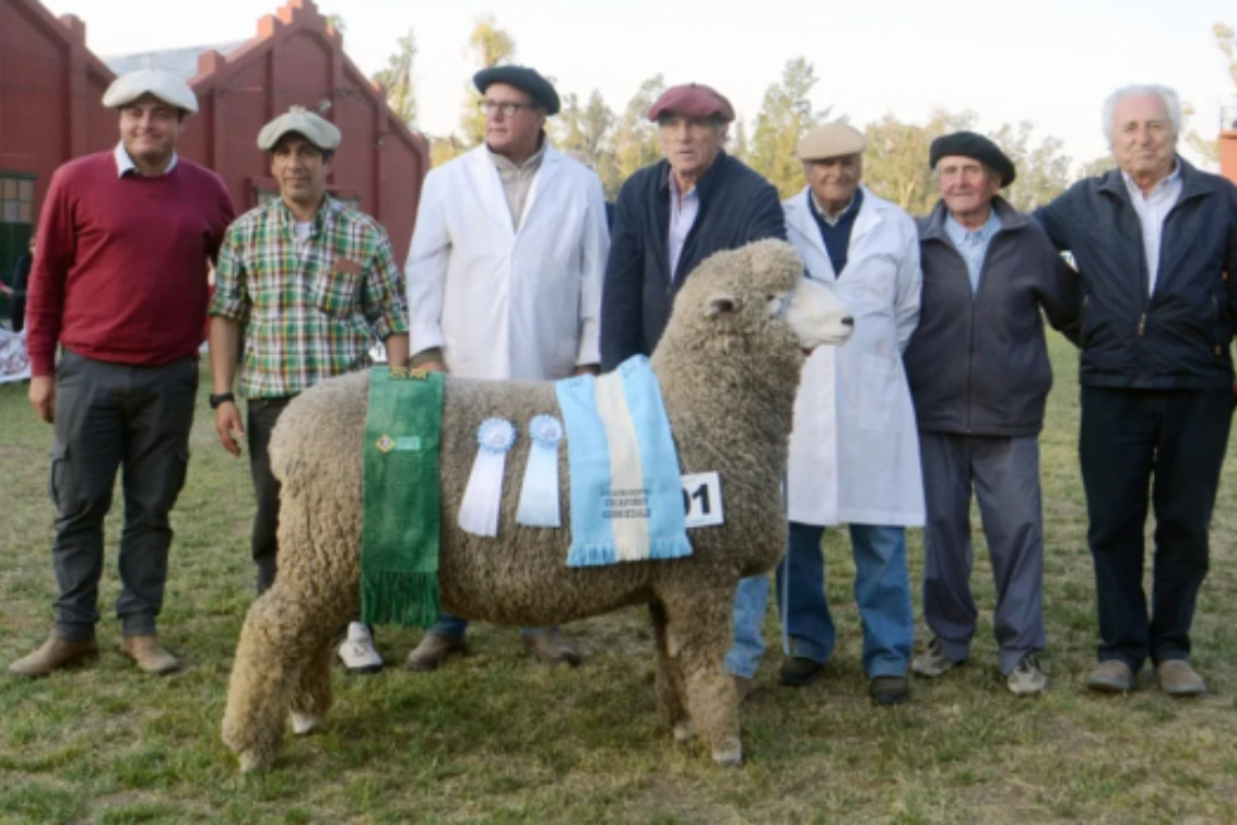 Bordeu 2024: Jorge Meier, un ganador repetido en Corriedale