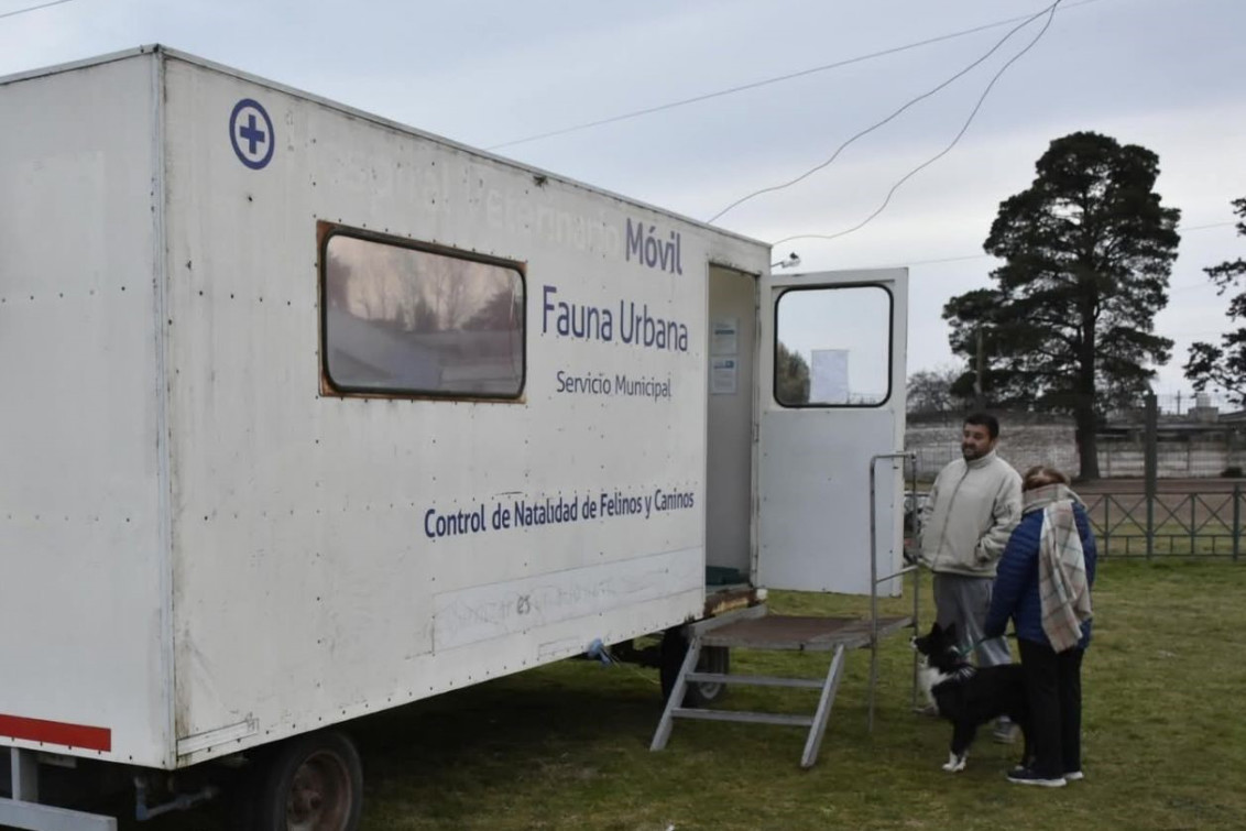 Nueva campaña gratuita de castración y vacunación en Indio Rico