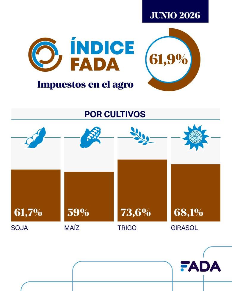 “Continúa elevado”: el Estado se lleva con impuestos el 61,9% de lo que genera una hectárea agrícola