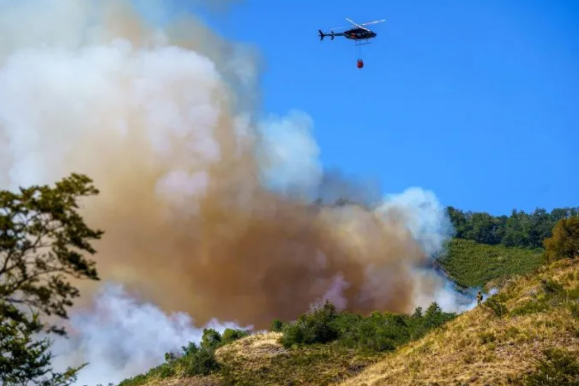 Incendio en el Parque Nacional Lanín: 15.200 hectáreas afectadas