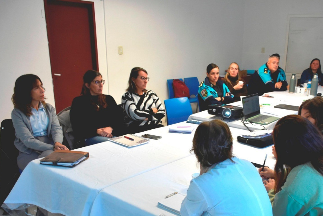 Avanza el trabajo articulado en salud mental con un nuevo encuentro del Consejo Consultivo
