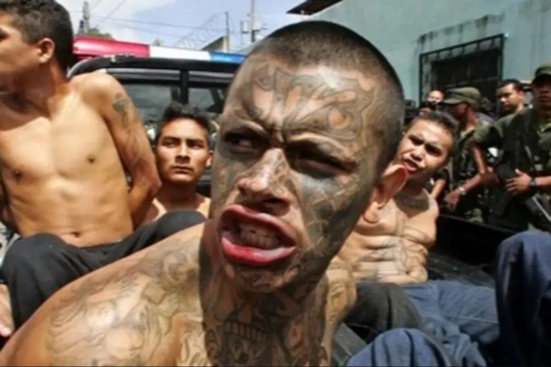Advierten que las pandillas conocidas como “Maras” podrían volver a instalarse en la Argentina  
