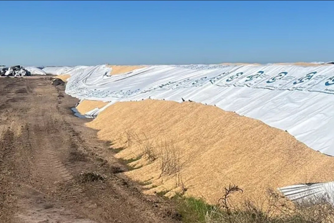 Vandalismo rural: dañaron cinco silobolsas en un predio sobre la Ruta 51
