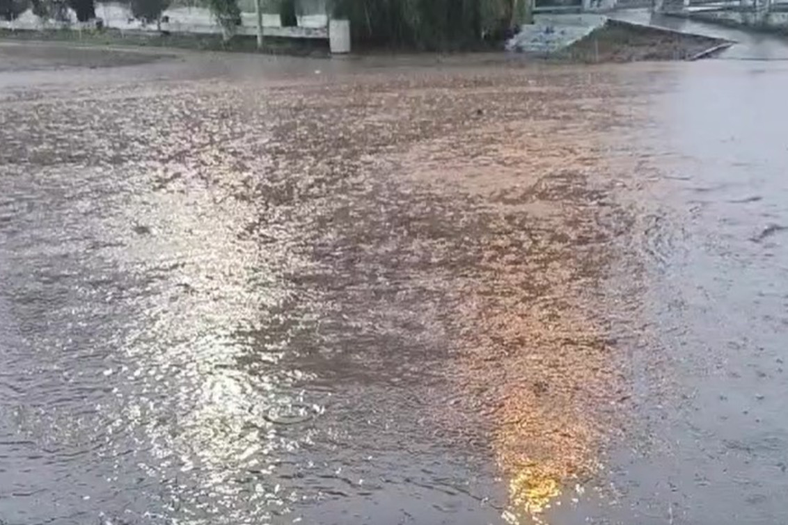 BAHÍA BLANCA: Desbordó el Canal Maldonado