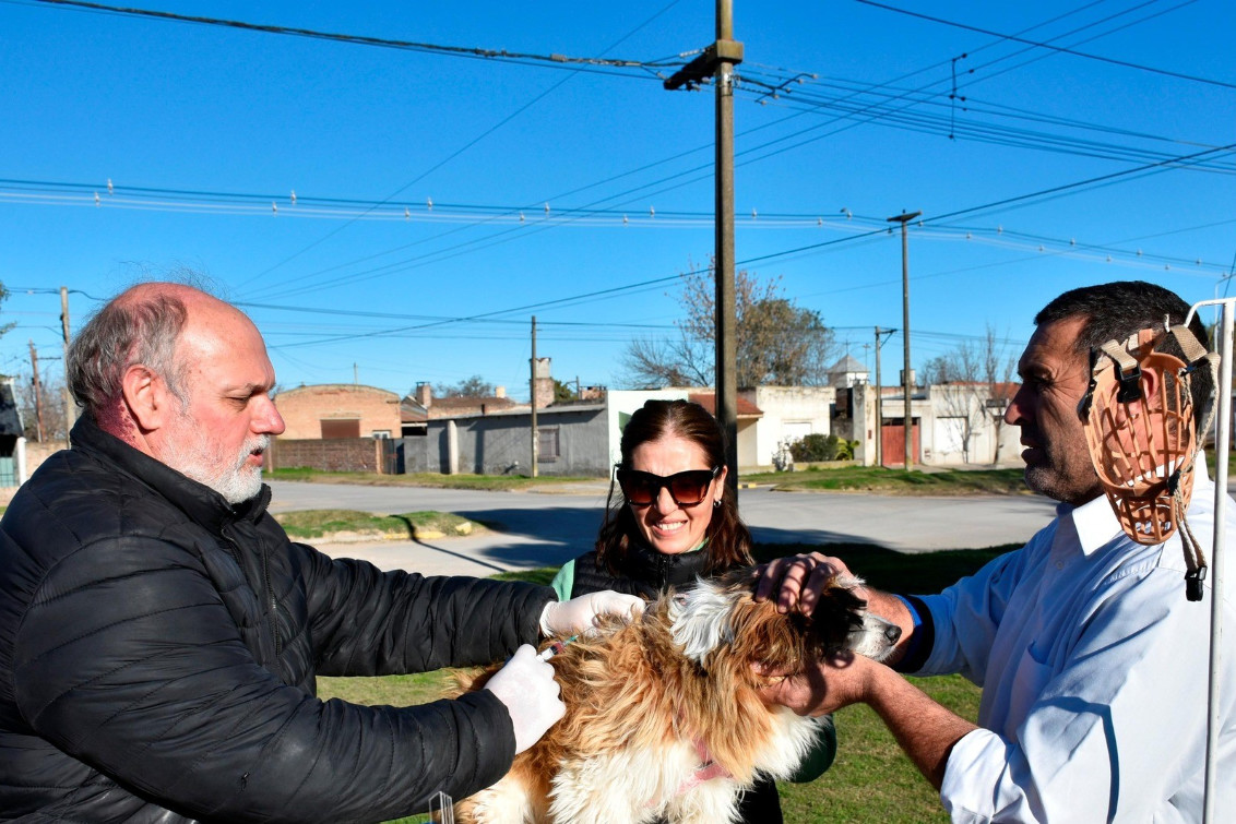 Más de 400 animales fueron vacunados en la campaña antirrábica gratuita