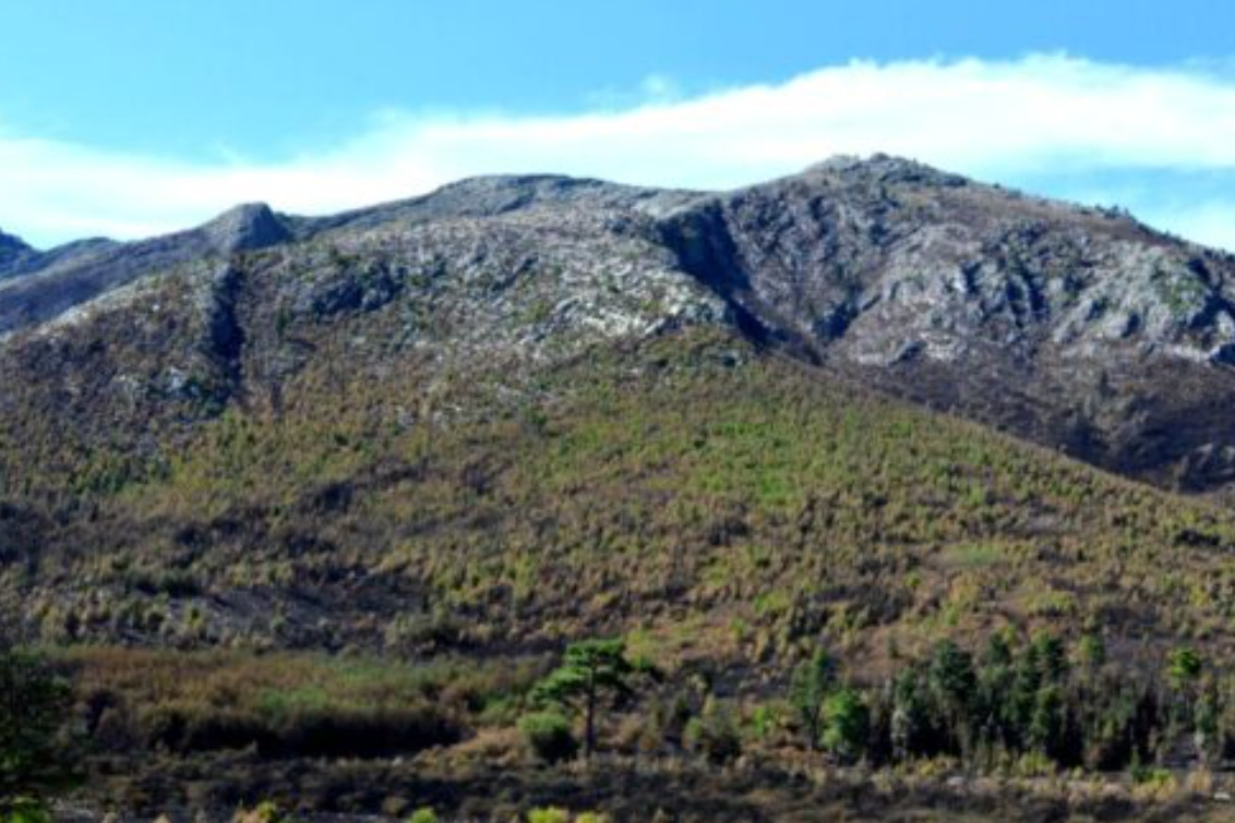 COMARCA SERRANA: “En la semana tuvimos un 60% de ocupación”