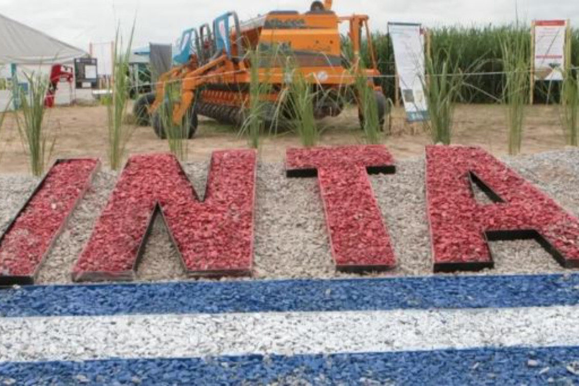  Tras frustrarse la reestructuración, el Gobierno designó autoridades en el INTA y otros organismos