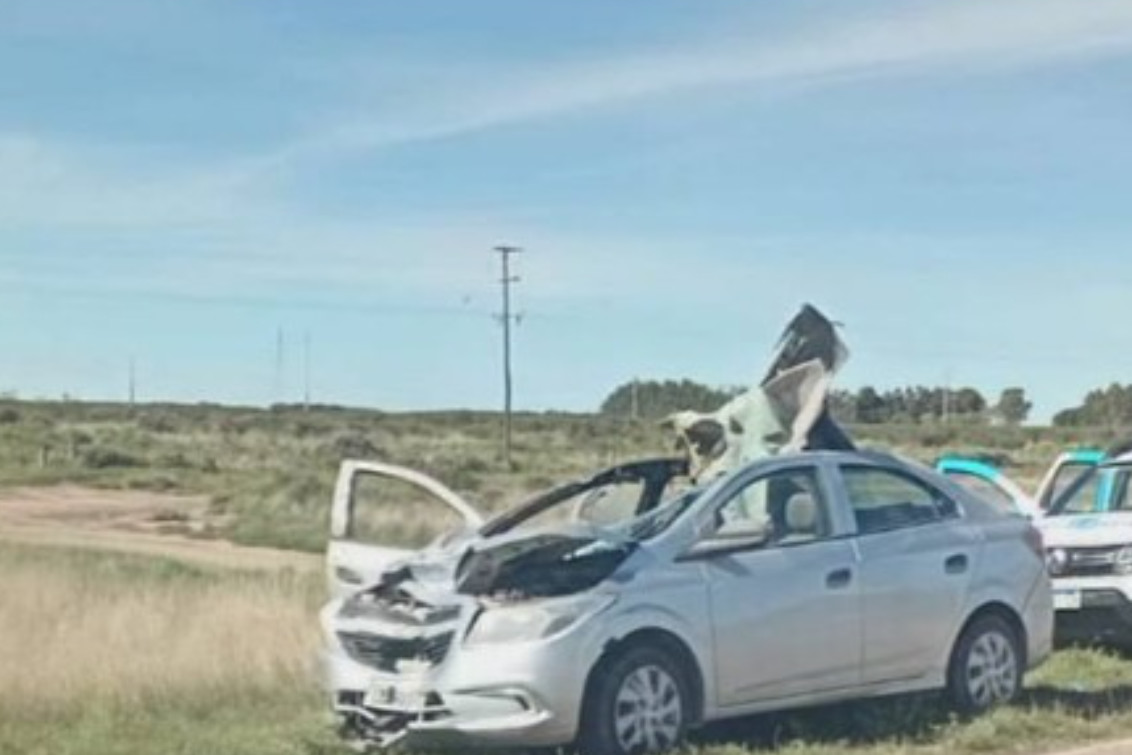 Ruta 3 sur: chocaron con un caballo y un hombre sufrió heridas graves