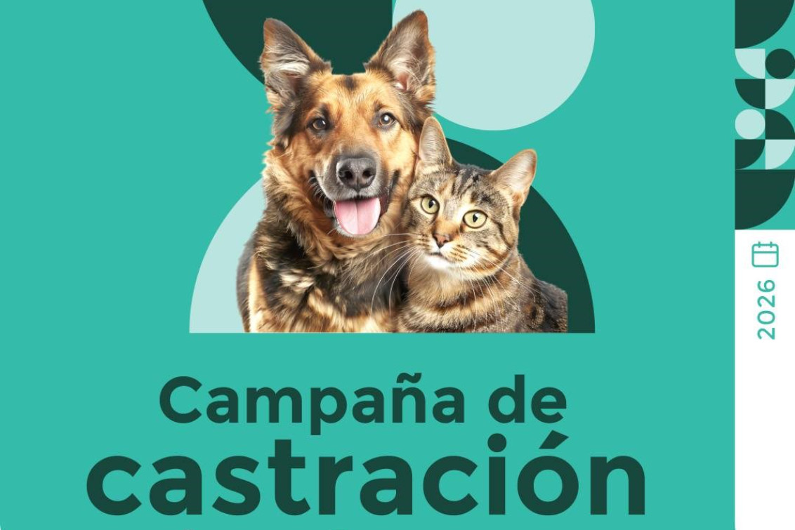  CAMPAÑA DE CASTRACIÓN Y VACUNACIÓN ANTIRRÁBICA EN FEBRERO