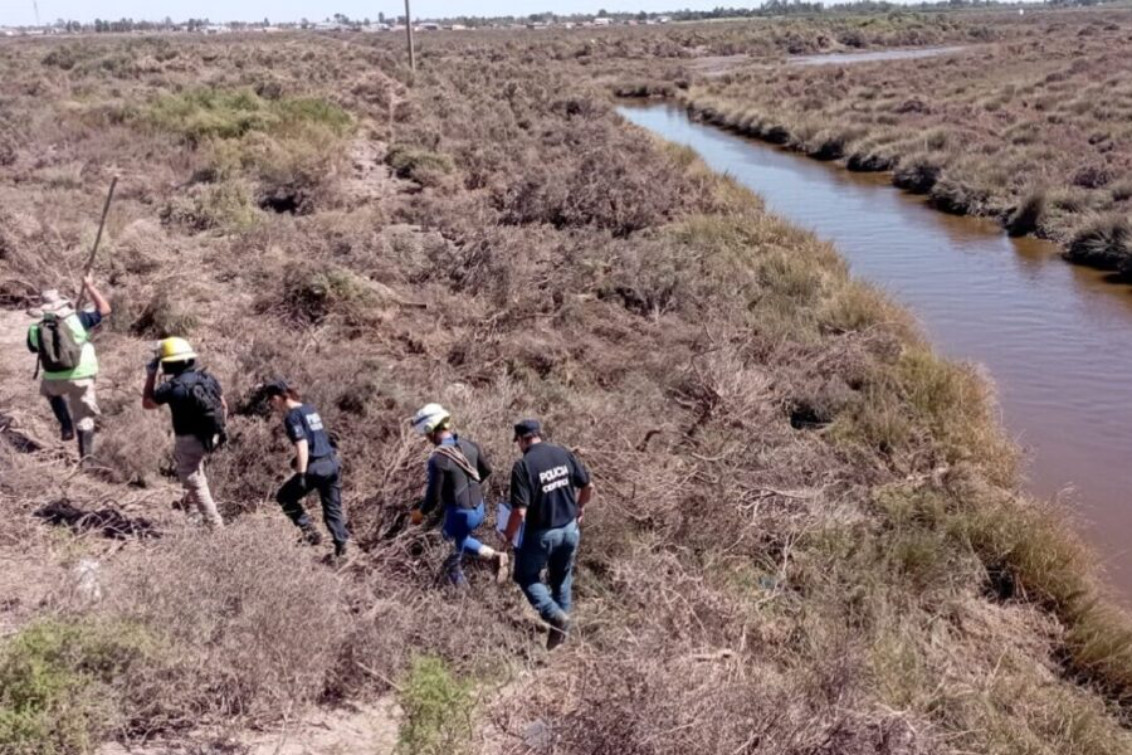 Analizan restos óseos hallados en la ría  