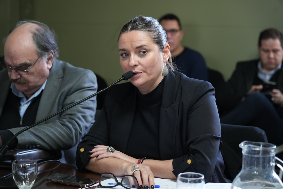 Desde el Senado bonaerense impulsan un proyecto clave para fortalecer a los talleres protegidos