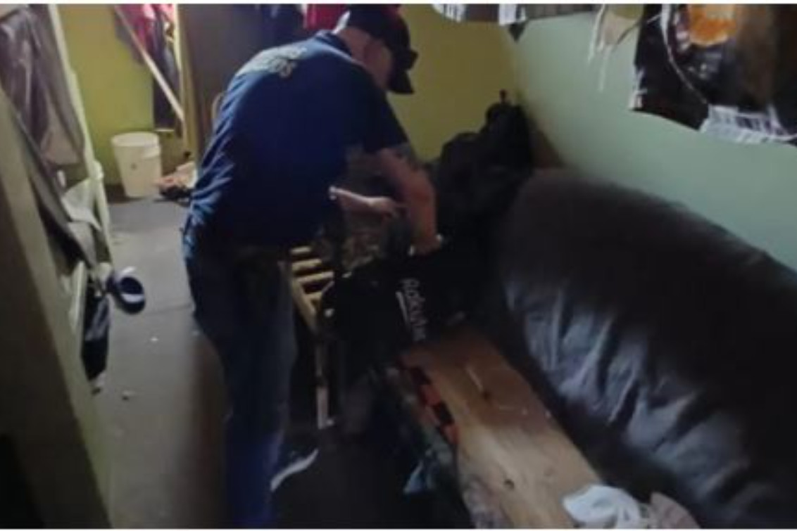 BAHÍA BLANCA: Allanan celdas de la cárcel local por causas de defraudación informática