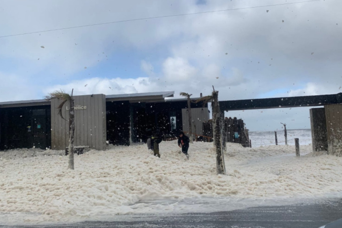 Olas gigantes, derrumbes y árboles caídos: así golpeó la sudestada a Necochea