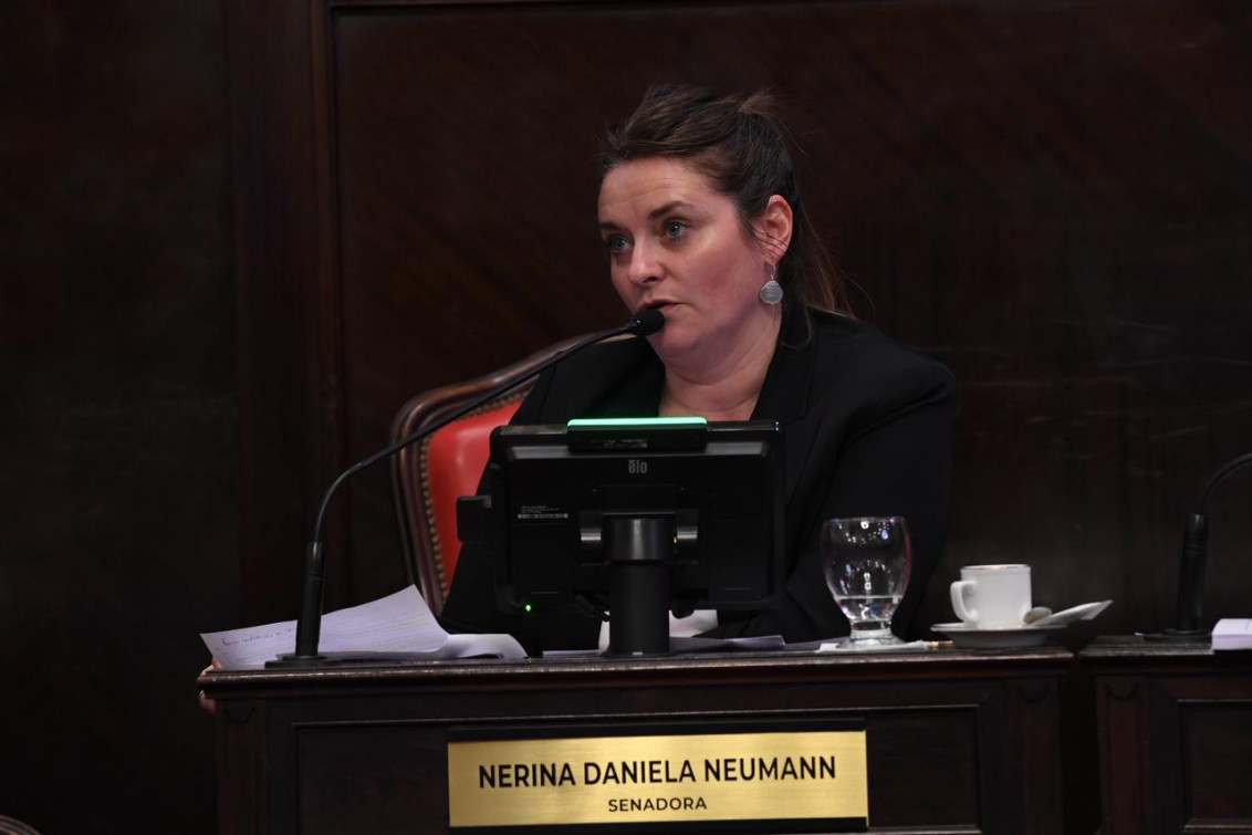  Senadora Neumann: “pasadas las elecciones, es momento de debatir Boleta Única y Ficha Limpia