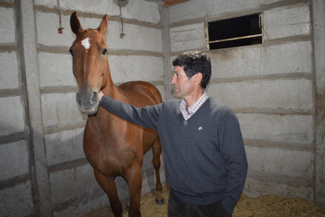  LA HISTORIA DEL CABALLO “COLIQUEO”