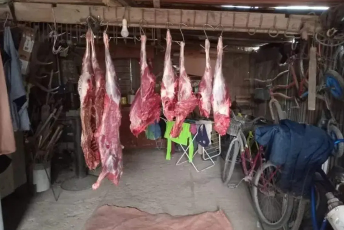  Condenan a 4 años de prisión a dos hombres por matar y faenar tres ciervos en un campo de Pringles