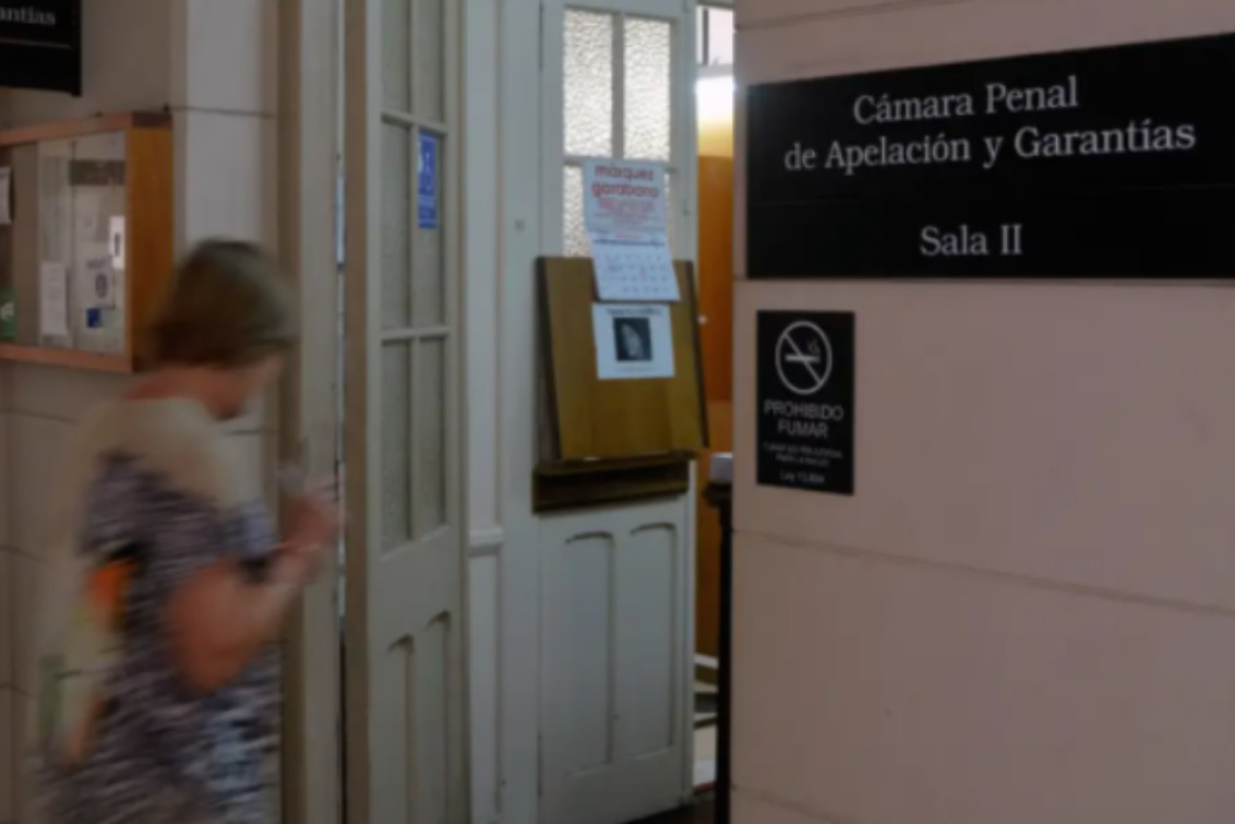 Fue condenado a pagar una multa porque su perro atacó a una llama