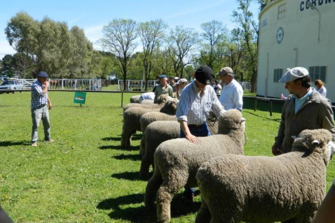  Se viene la 78° Exposición de la Sociedad Rural de Coronel Pringles