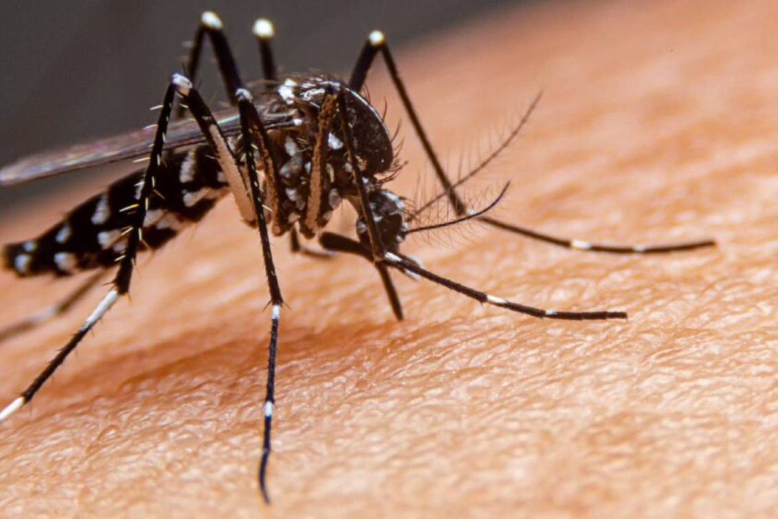  Alarma la situación del Dengue: 129 muertes y más de 180.000 casos