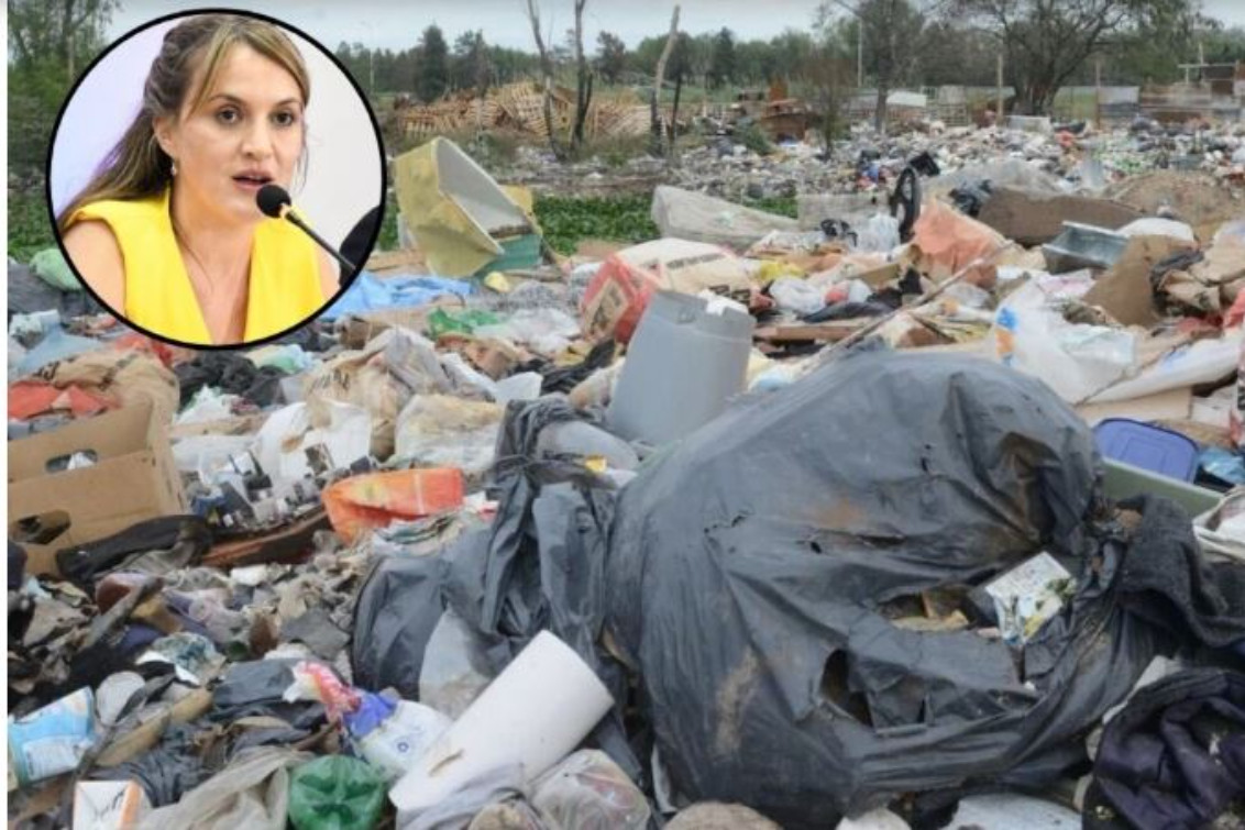 Proponen sanciones a la licencia de conducir de los que arrojen basura en la vía pública