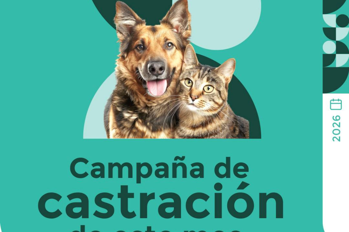  Realizarán una nueva campaña de castración y vacunación antirrábica en Coronel Pringles