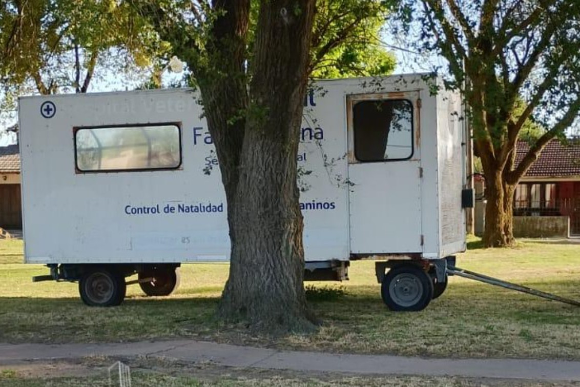 Campaña de Castración este sábado en la rambla de la Av. 25 de Mayo