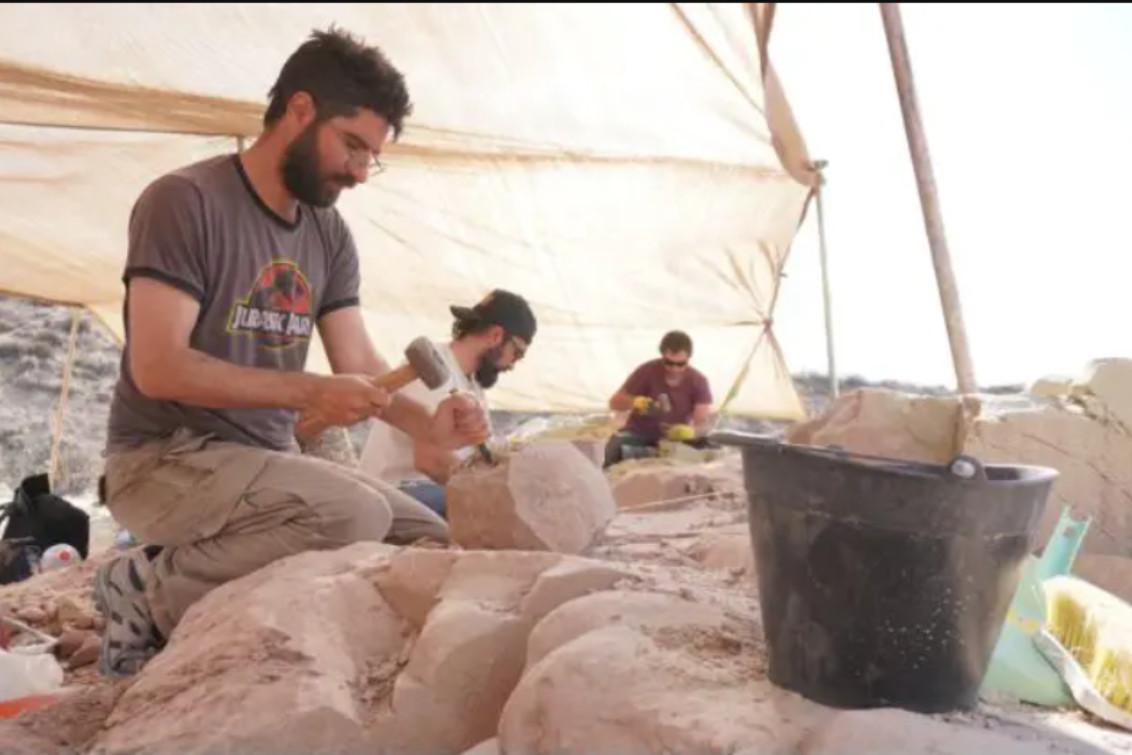 Paleontólogos del Conicet transmitirán en vivo la búsqueda de fósiles de dinosaurios: cuándo es