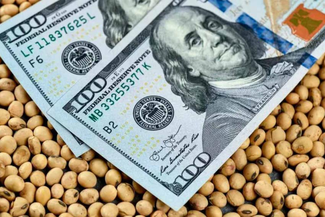 Nuevas Medidas Económicas Nuevo Dólar Agro A 340 Y Un Impuesto Pais