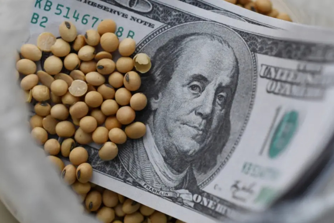 Estiman cosecha y exportación récord del agro pero con similar ingreso de dólares