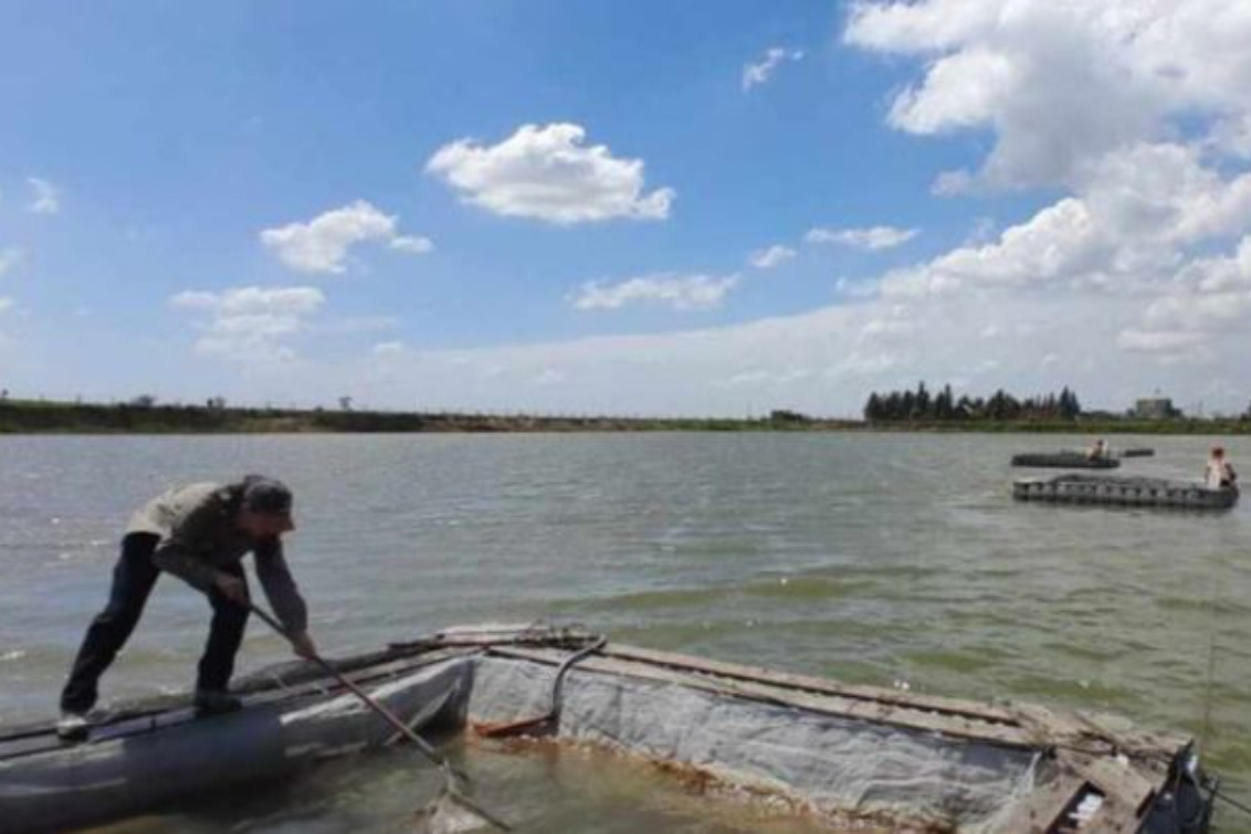 Buscan recuperar el pejerrey en lagunas de la provincia afectadas por la sequía
