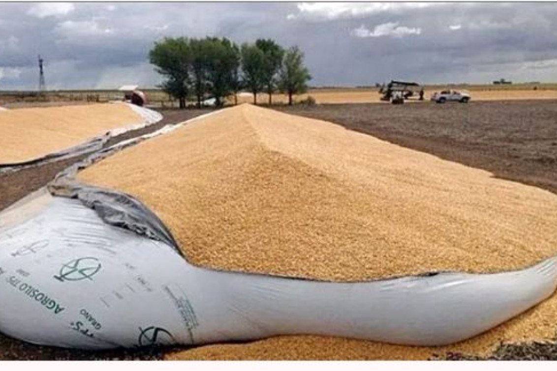 Piden penas de hasta cinco años de cárcel para quienes ataquen silobolsas