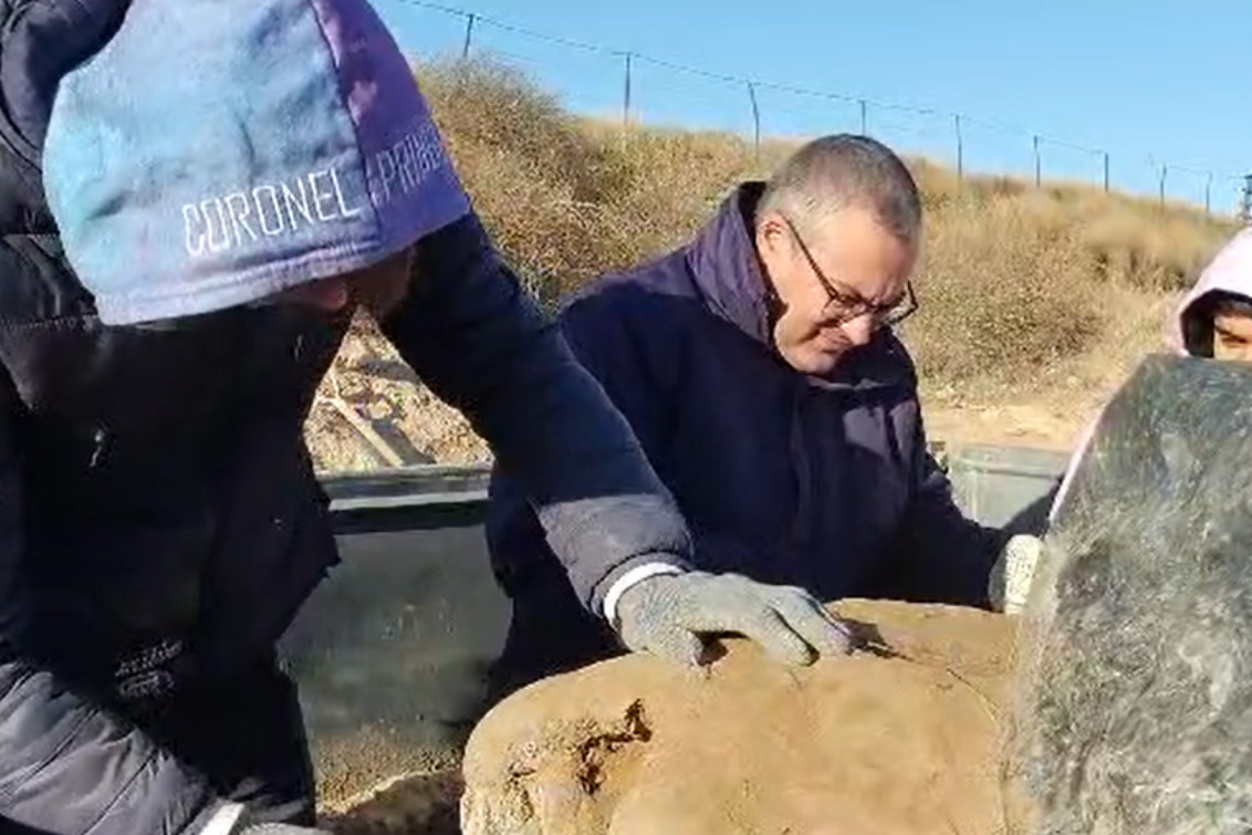  Reanudación de trabajos para la extracción del fósil del perezoso gigante