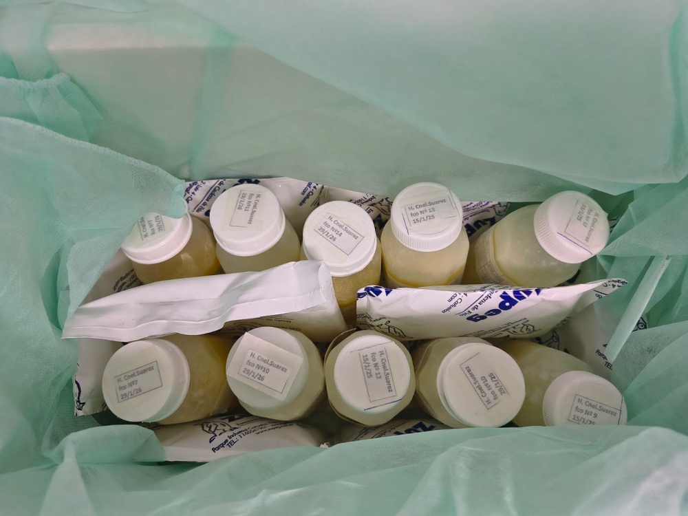Un puente de vida: Coronel Suárez concretó el primer envío de leche humana pasteurizada al Hospital 