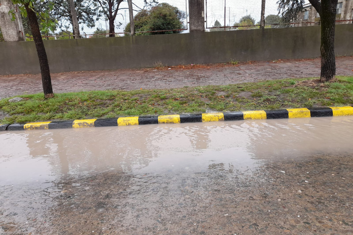  Registro de lluvias en Coronel Pringles y la región