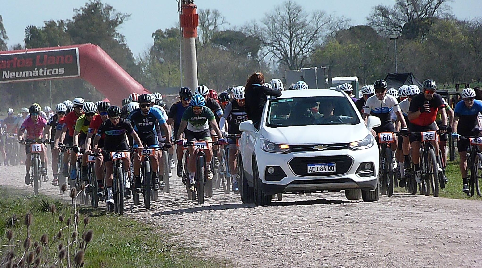 La carrera de Alumni