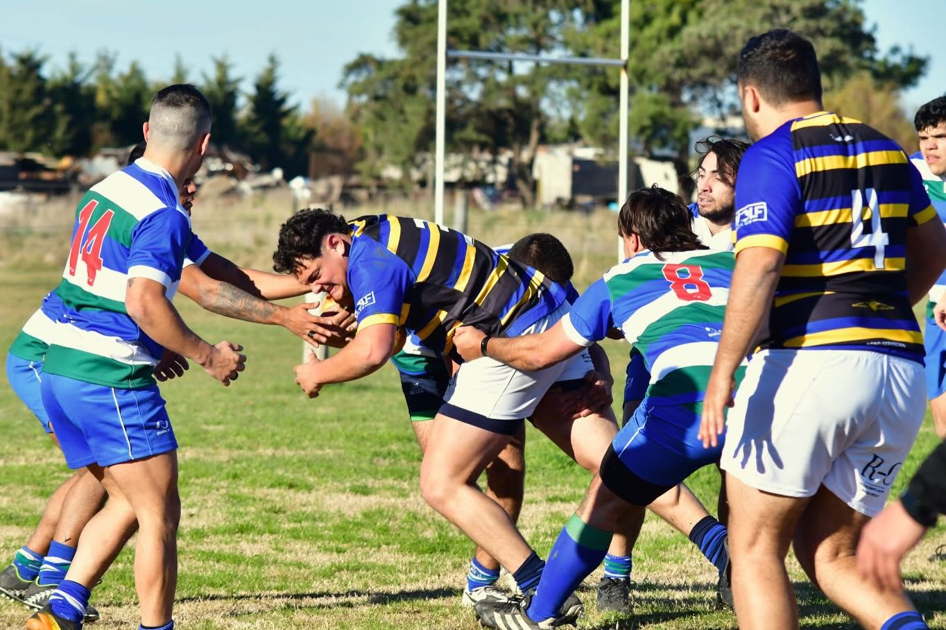 Los Carneros al podio