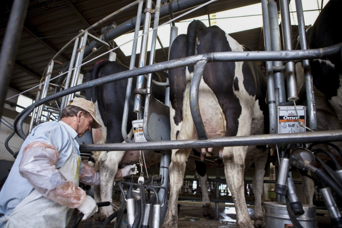 Cuáles son las medidas que el Gobierno tomará a favor del campo  