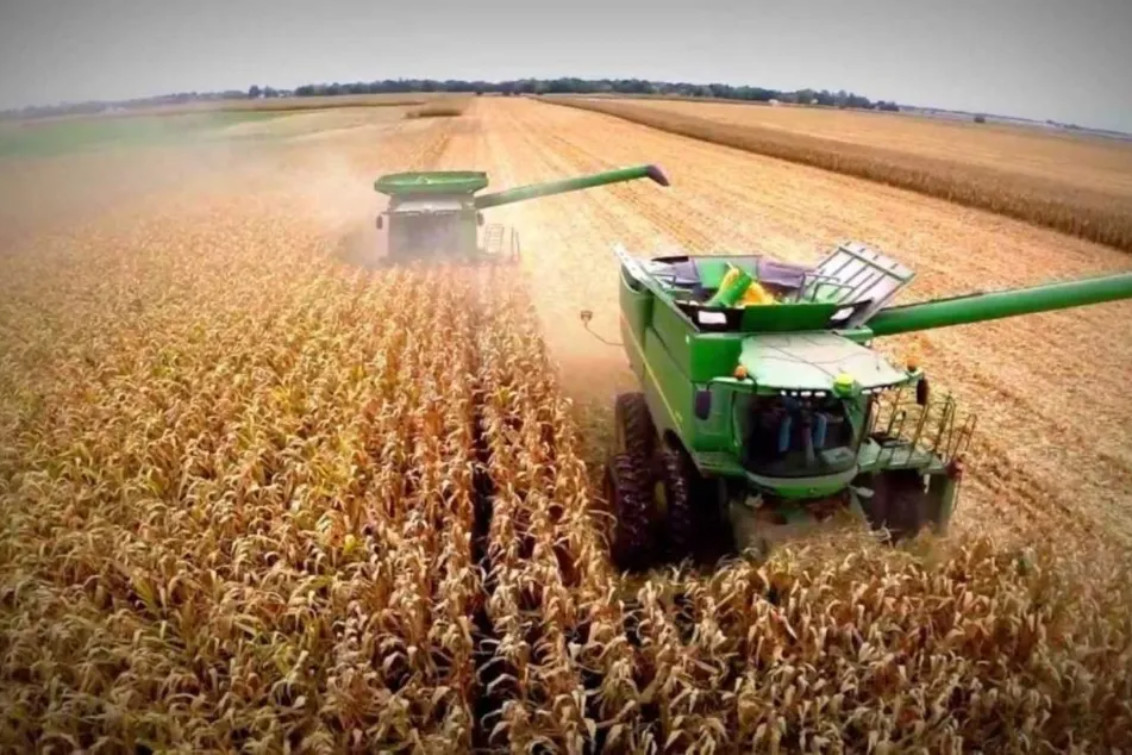 La economía creció 4,4% en 2025, impulsada por la minería, las finanzas y el campo