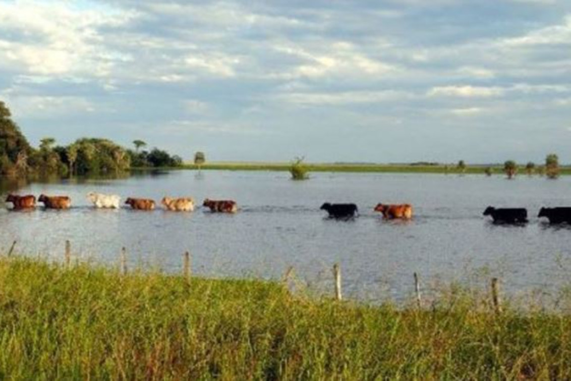 Prorrogan la emergencia agropecuaria en dos distritos del sudoeste