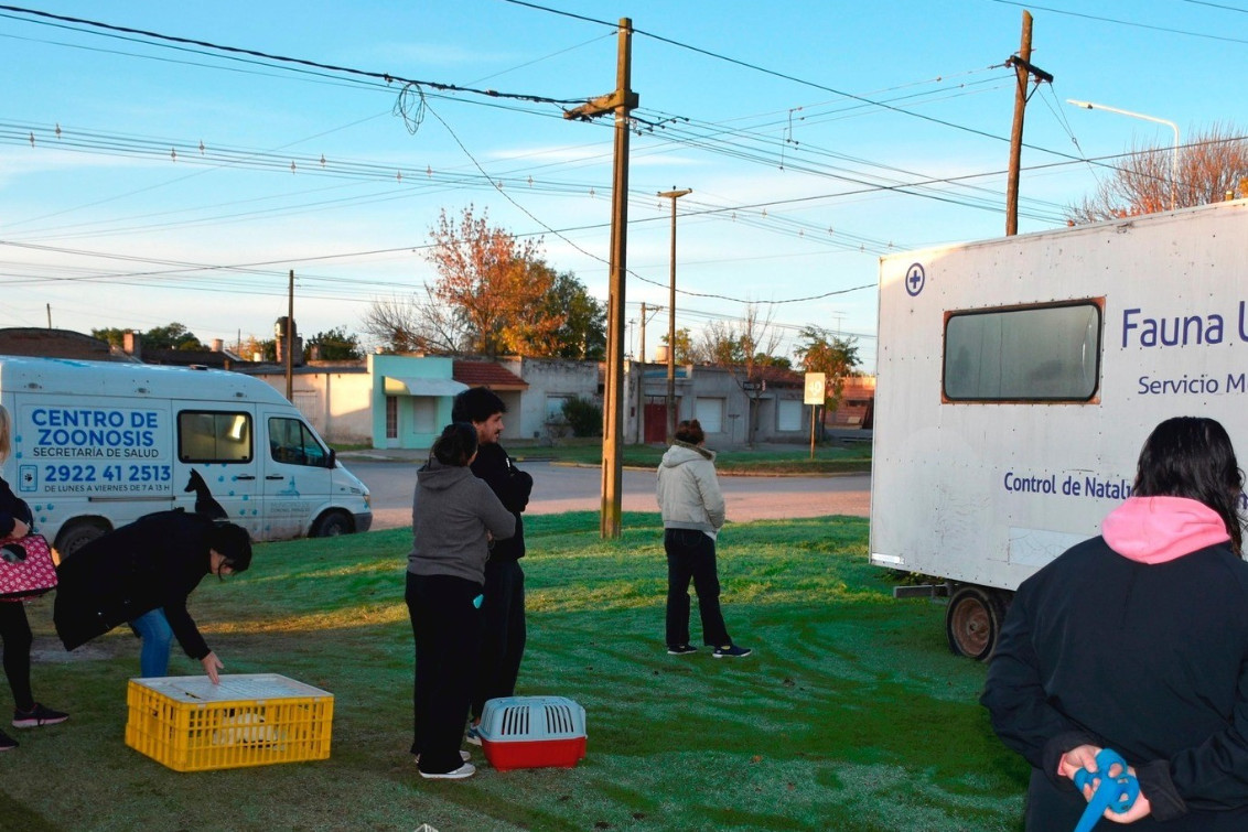 Nueva jornada de castración y vacunación gratuita en la ciudad
