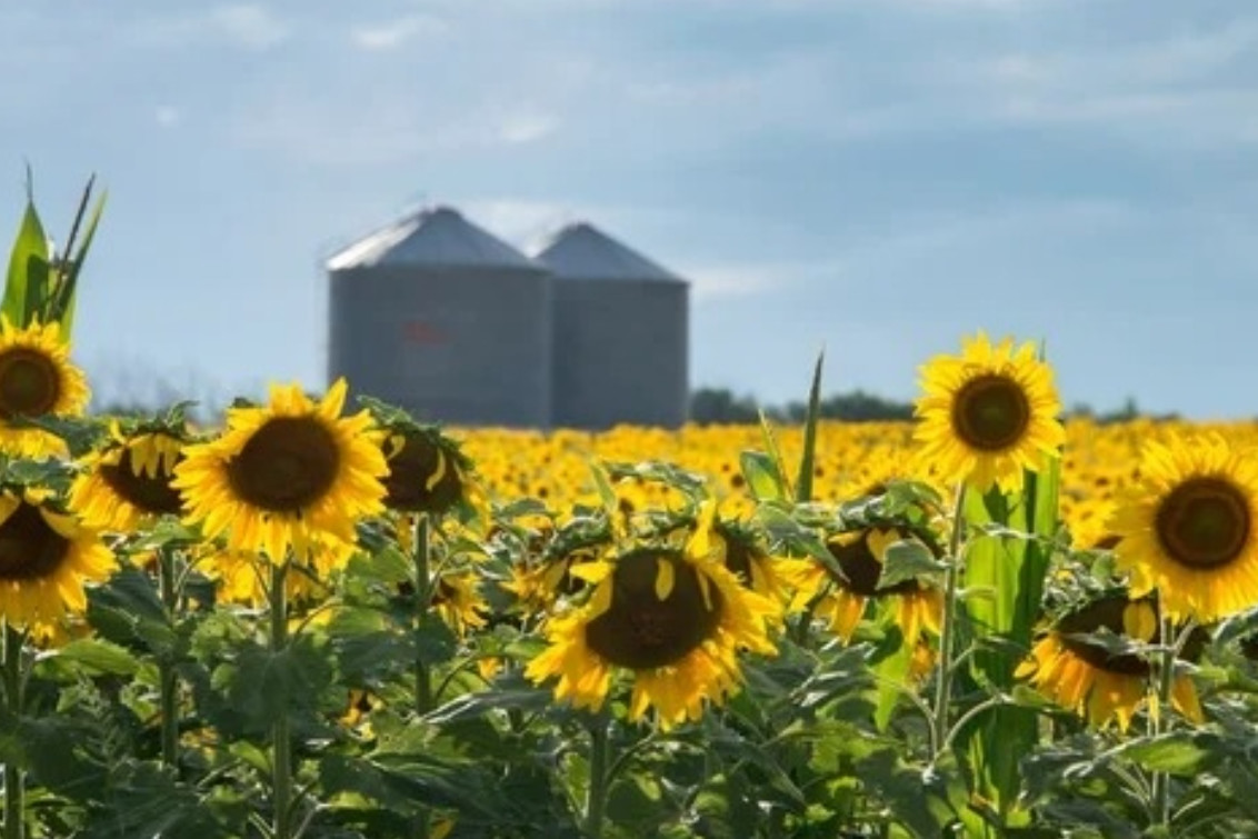 El Gobierno oficializó finalmente la baja de retenciones