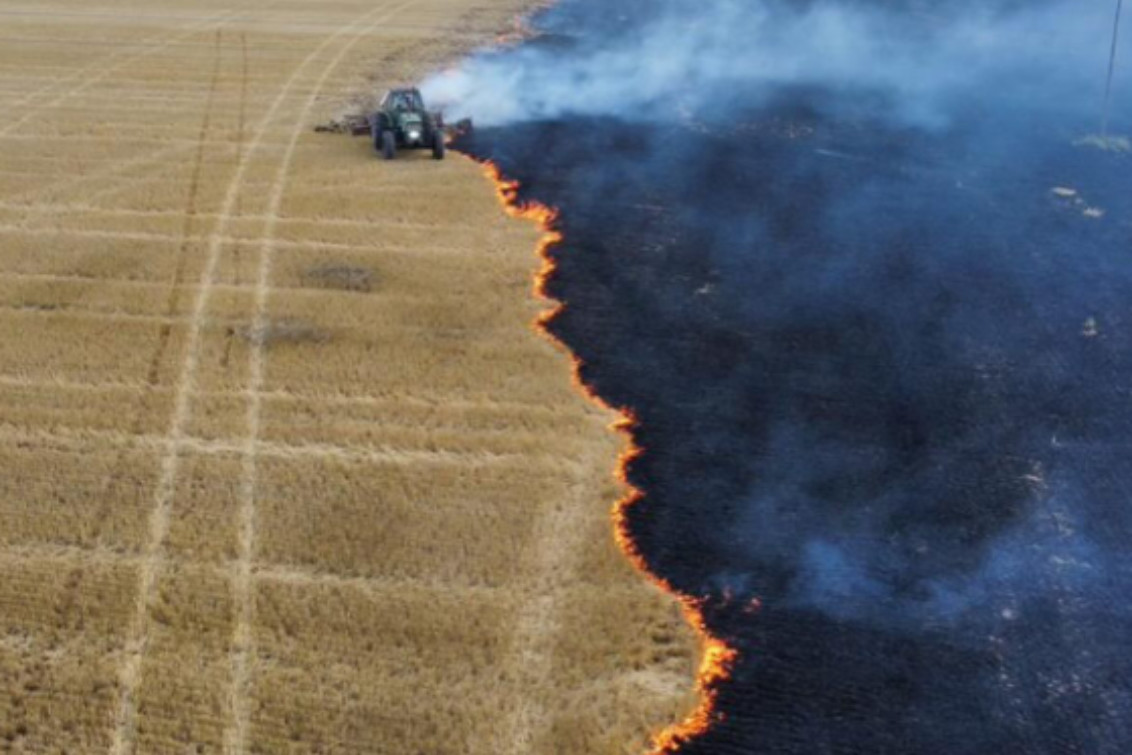 Alerta en el sudoeste bonaerense: hay alto riesgo de incendios por la ola de calor