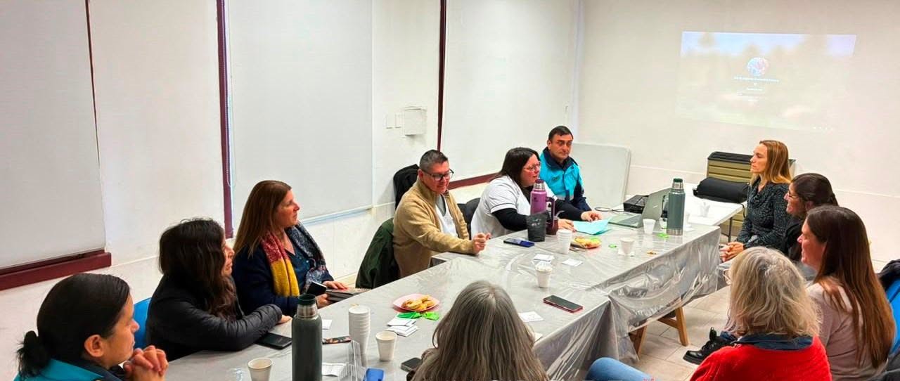 El Consejo Consultivo de Salud Mental avanzó en estrategias de capacitación y prevención comunitaria
